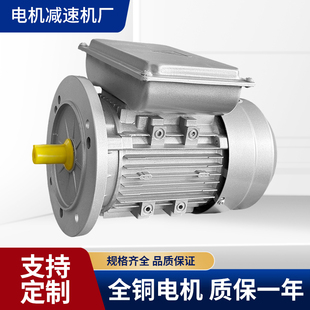 1.1 0.75 1.5KW等单相电动机 0.37 YL单相220V四极1400转铝壳0.18
