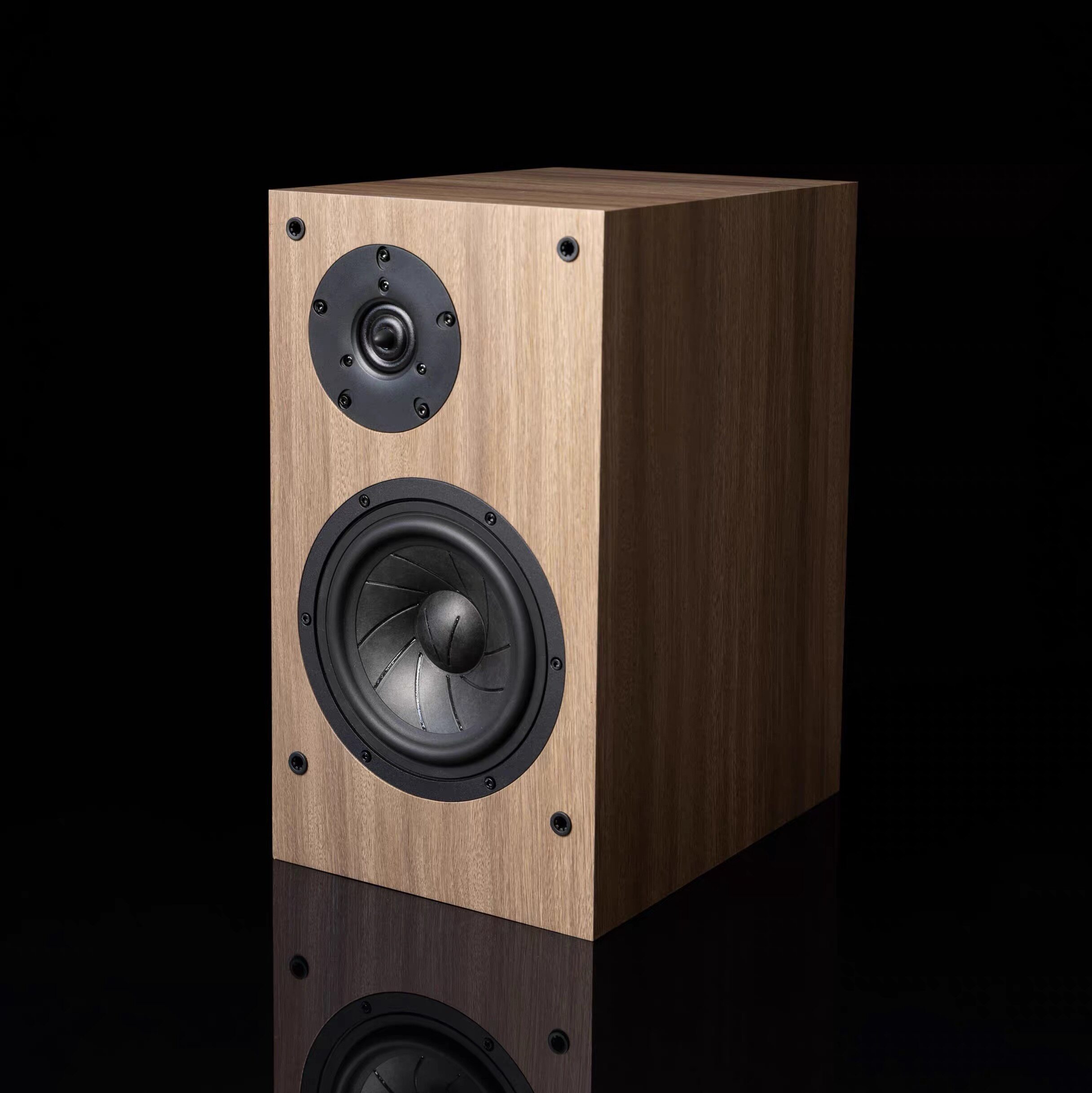 南海之声西瓜皮音箱特价版6.5寸无源hifi音响