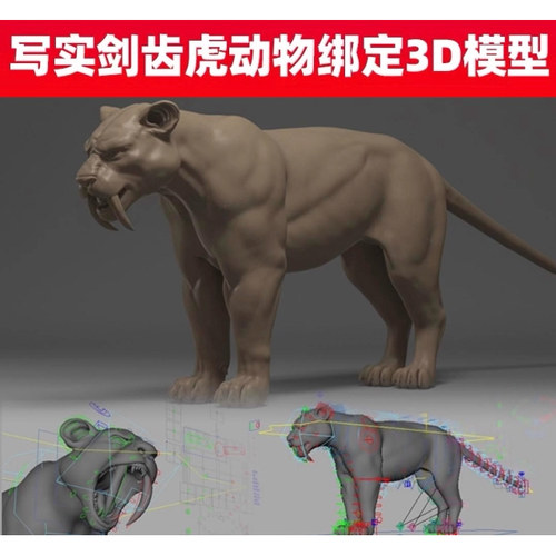 Maya史前动物冰川猛虎剑齿虎3D模型骨骼头部表情尾部绑定控制器
