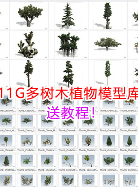speedtree植物库树包3d模型库树库资产植物大树松树古树unity/ue5