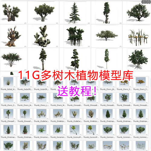 speedtree植物库树包3d模型库树库资产植物大树松树古树unity/ue5