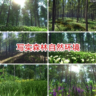 unity写实森林自然场景素材树林植物树木植被环境u3d模型urp/hdrp