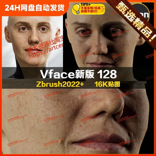 XYZ/Vface新版ZBrush写实高清扫描模型头16K皮肤贴图Solomia128