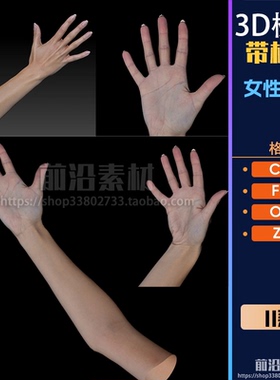 超真实真实女性手势手臂模型带贴图 ZTL+C4D+FBX+OBJ 11组 M209