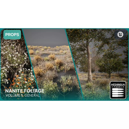 UE5.1秋天枯黄森林植物树草灌木Nanite Foliage Vol1
