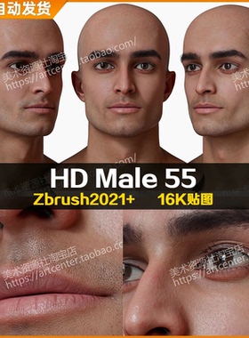 3DScan store/Ten24写实高清扫描模型ZBrush男性头部HD Male 55