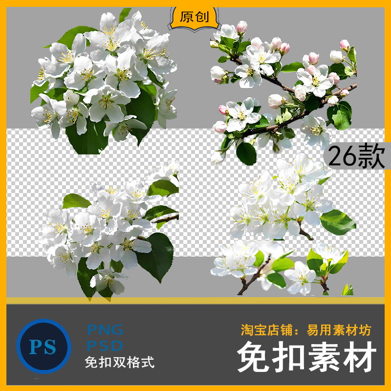 高清植物花卉PNG摄影图片梨花梨树花朵花簇设计喷绘打印psd素材