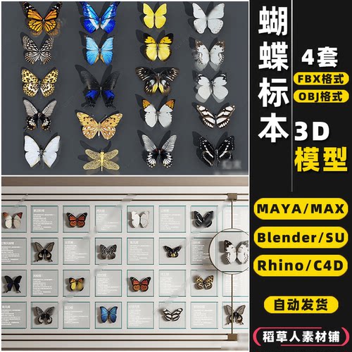 blender蝴蝶昆虫飞蛾标本Rhino犀牛SU/C4D/3Dmax模型FBX/OBJ/MAYA