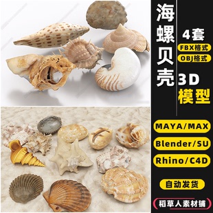 MAYA blender海螺贝壳珊瑚摆件Rhino犀牛SU C4D 3Dmax模型FBX OBJ