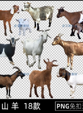 山羊png免抠黑山羊白山羊黄色山羊图片透明元素PS设计素材