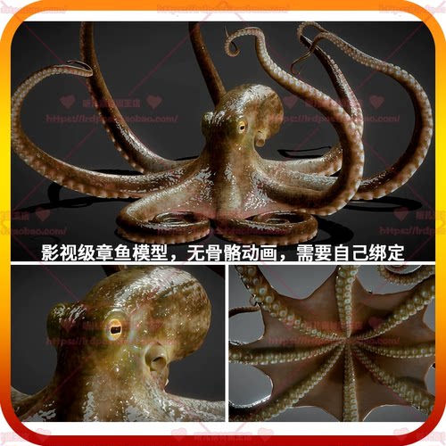 MAX写实章鱼3D模型影视级章鱼鱿鱼触手PBR纹理8K素材 FBX OBJ UE