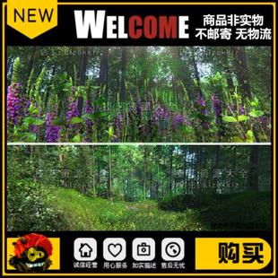 unity森林场景植物树木草地花草灌木植被小路u3d模型素材urp/hdrp