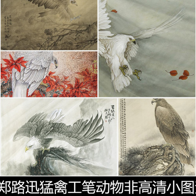 ATK近现代郑路迅猛禽工笔动物非高清小图素材资料参考39 574MB