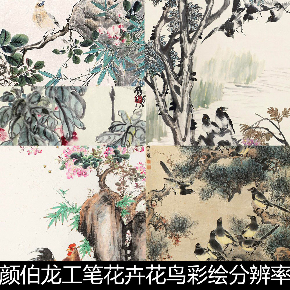 bsv近现代颜伯龙工笔花卉花鸟彩绘分辨率100小图精选素材资料参考
