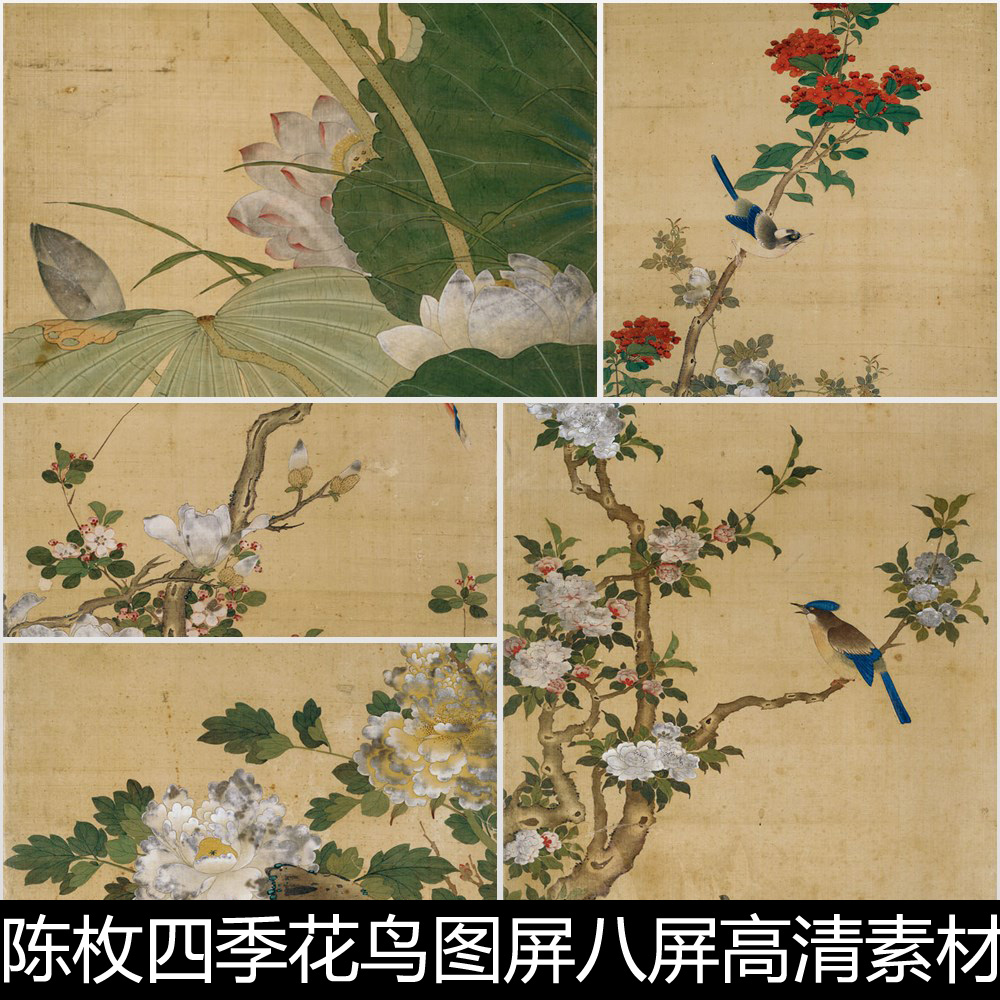 BSH清代陈枚四季花鸟图屏八屏高清素材资料参考8 4.16GB TIF格式