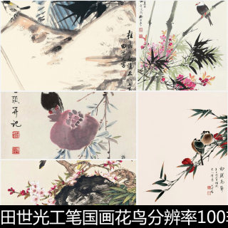 AVC近现代田世光工笔国画花鸟分辨率100非高清素材资料参考72