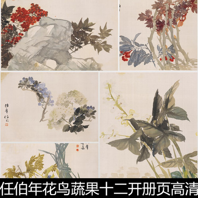 BTM清代任颐任伯年花鸟蔬果十二开册页高清素材资料参考12 2.2GB