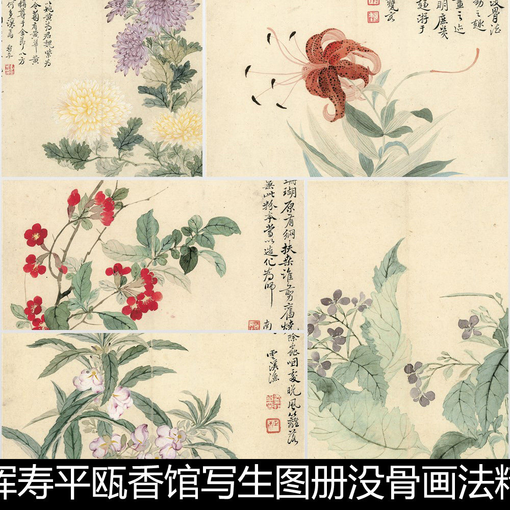 cgt清代恽寿平瓯香馆写生图册没骨画法精品力作十开高清素材资料