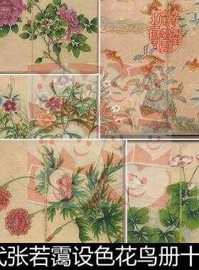 UBC清代张若霭设色花鸟册十开图高清素材资料参考10 952MB