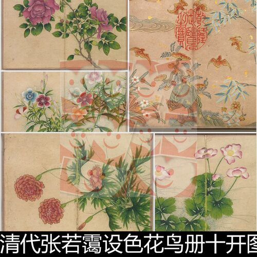 UBC清代张若霭设色花鸟册十开图高清素材资料参考10 952MB