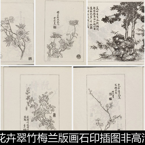 AUP古籍版花卉翠竹梅兰版画石印插图非高清素材资料参考55 322MB