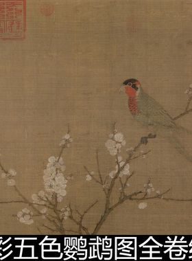 ARM北宋徽宗赵佶重彩五色鹦鹉图全卷绢本高清素材资料参考1 865MB