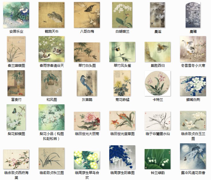 中国工笔花鸟彩绘高清精品素材参考 58 467MB JPG格式