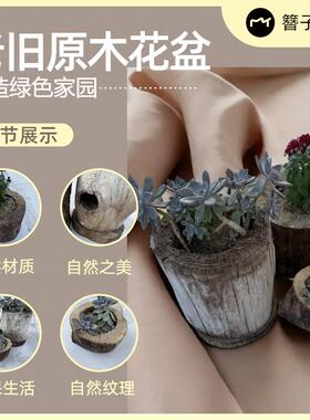 老木头花盆创意复古水泥仿树头木头多肉花盆树根树桩绿植盆鱼缸
