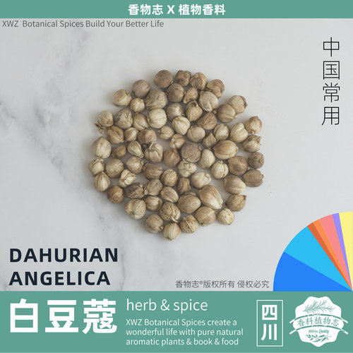 白豆蔻 CARDAMOM