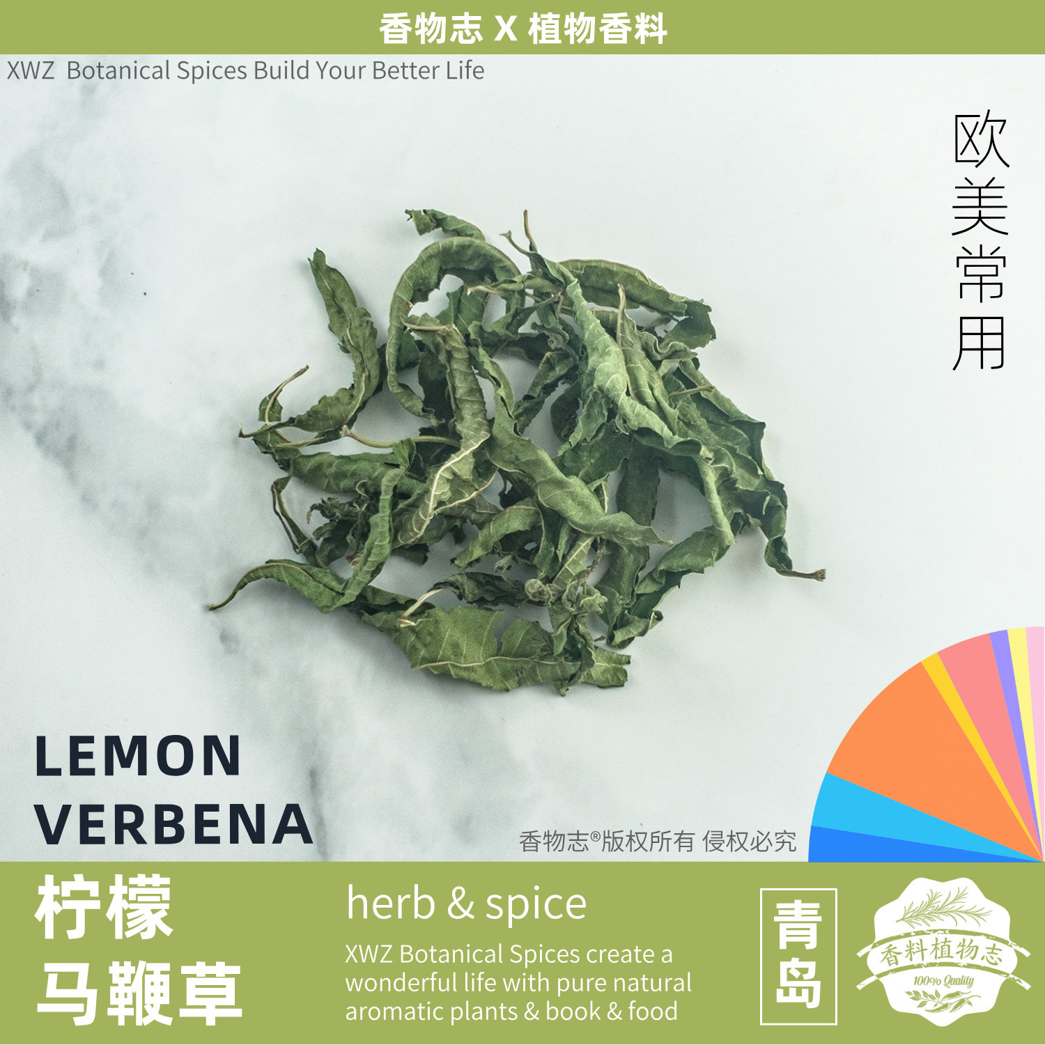 柠檬马鞭草LEMON VERBENA
