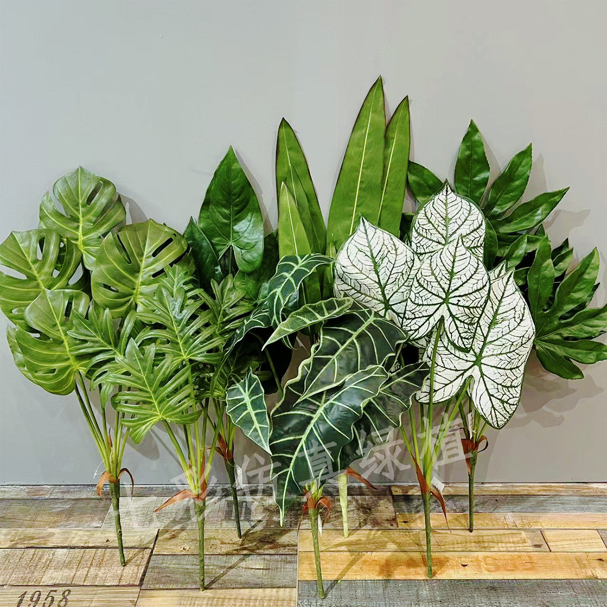 高仿真绿植白芋叶龟背叶观音叶红掌春雨叶手感过胶植物墙造景装饰,鲜花速递/花卉仿真/绿植园艺,仿真绿植,淘宝优惠券,粉丝福利购,淘宝优惠卷