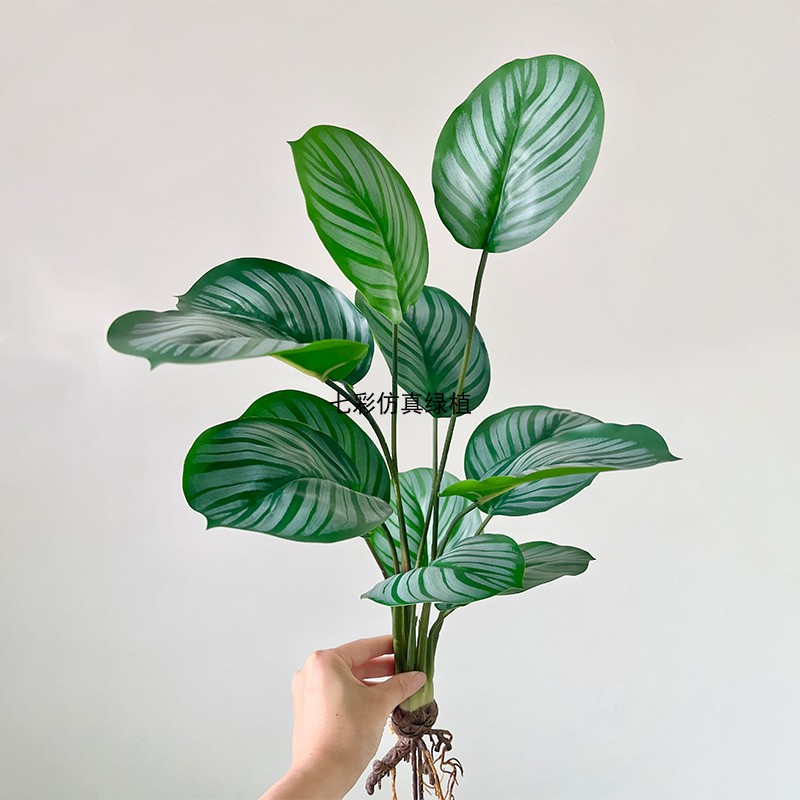 仿真植物带根手感过胶植物墙造景