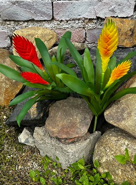仿真绿植造景装饰假花莺歌凤梨软胶手感客餐厅摆件多肉植物仿真花