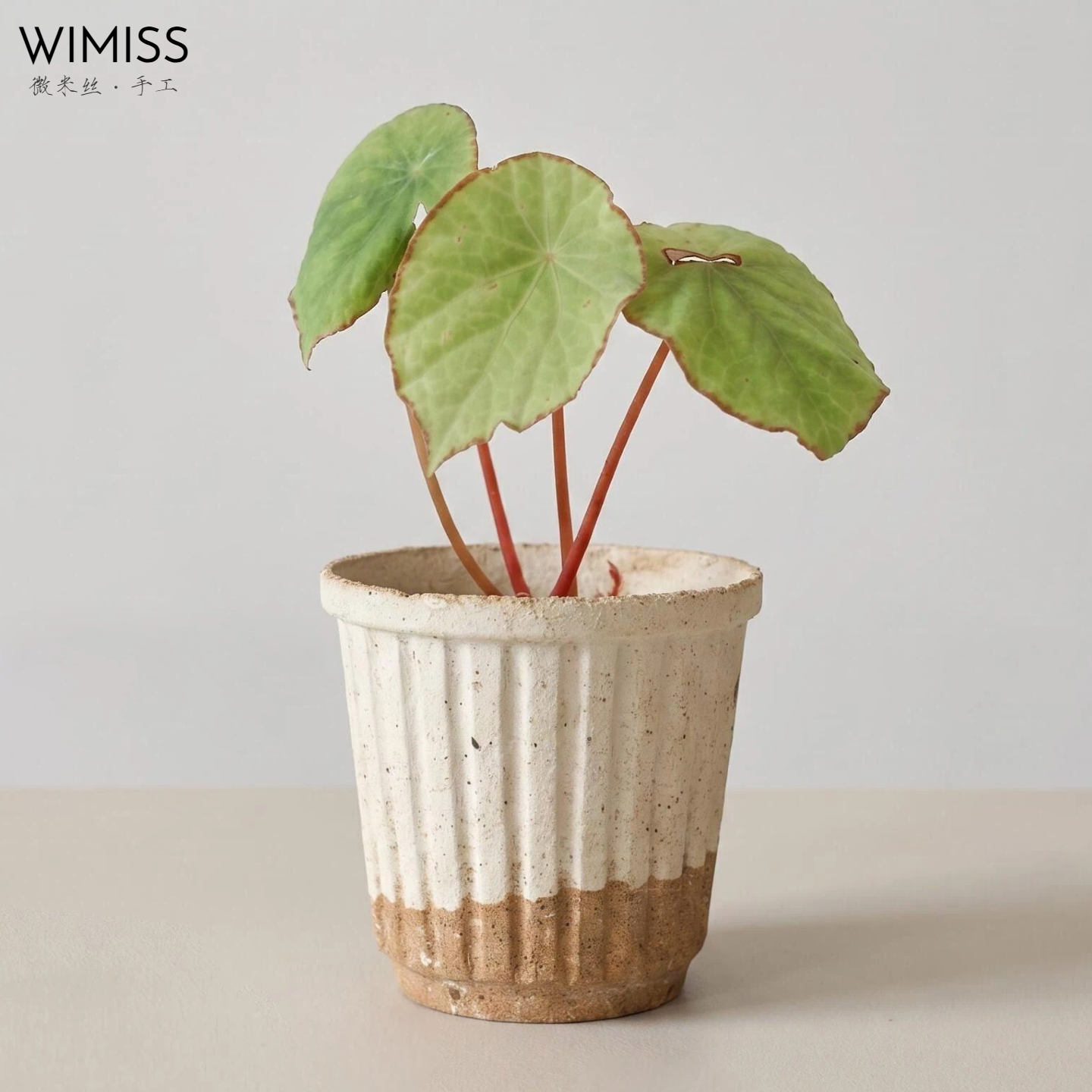 WIMISS内口8.5侘寂风匣钵粗陶多肉老桩仙人掌块根桌面绿植花盆