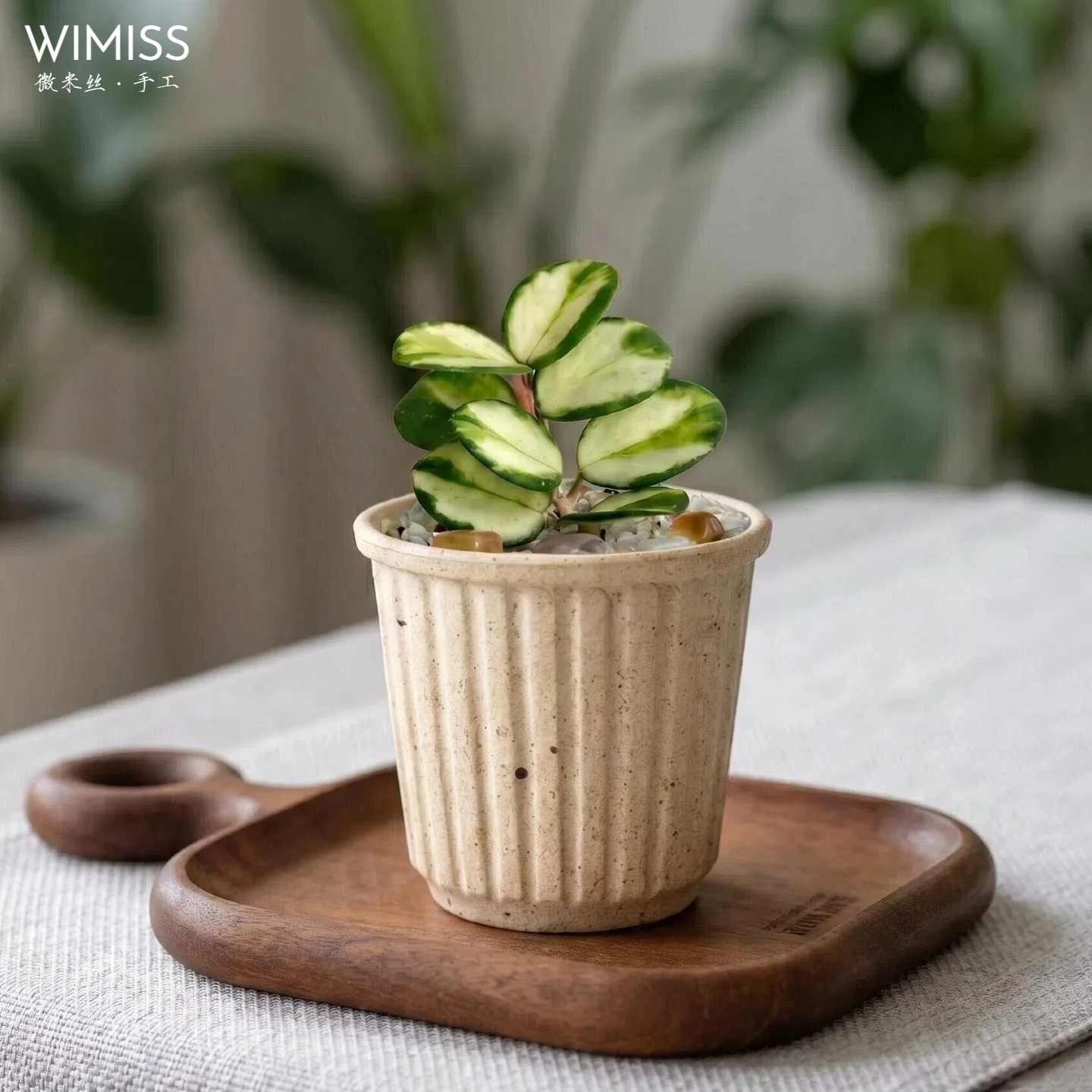 WIMISS内口6.5粗陶盆中式创意个性茶咖啡杯侘寂风透气复古风花盆