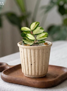 【内口6.5外高7.2】粗陶茶杯盆中