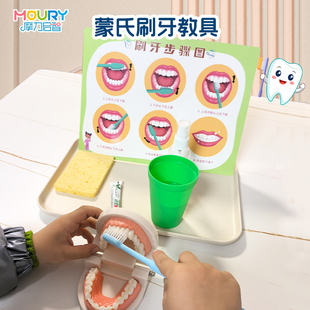 蒙氏儿童学刷牙教具认识牙齿模型早教训练幼儿园生活区投放材料