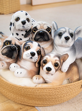 仿真哈士奇斗牛公仔毛绒玩具黄色小狗狗布娃娃儿童宠物伴侣小玩偶