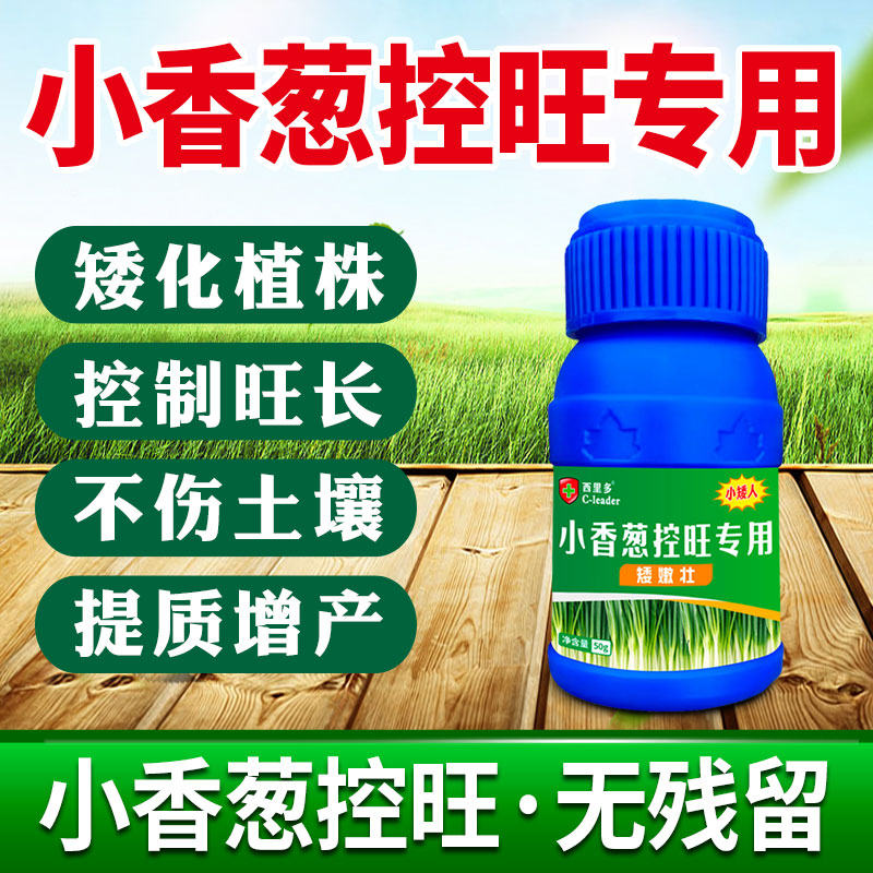 小香葱控旺药苗壮快速防徒长疯长
