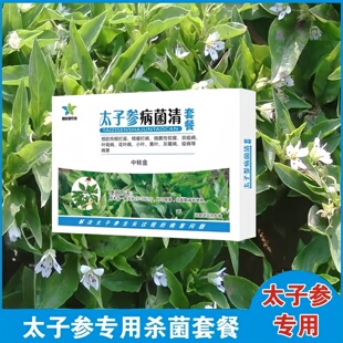人参太子参专用生物菌剂病毒病死根烂苗根病腐病灰霉病生物菌剂