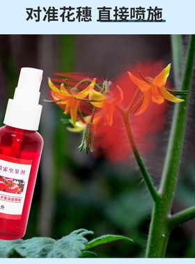 番茄西红柿专用喷花授粉药免点花药坐果灵座果精小圣女果防落素