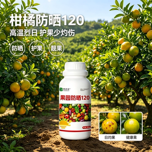 柑橘防晒剂果园防晒剂专用减少暴晒防日灼太阳果增收提质果园通用