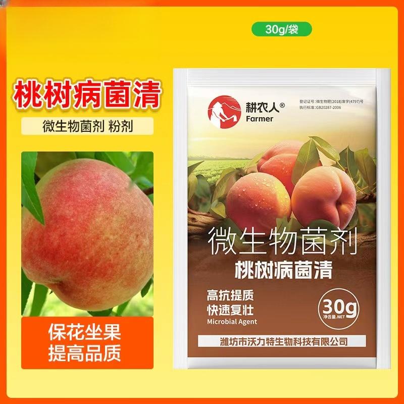 果树桃子树病菌清复合微生物菌剂