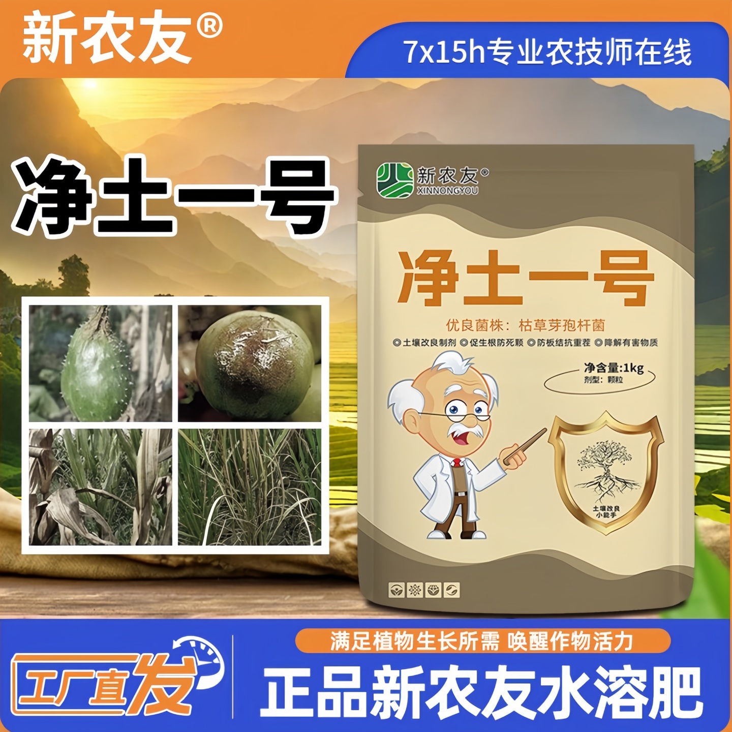 净土一号抑制土传病害微生物菌剂