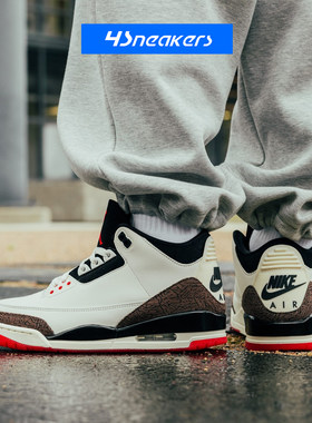 Nike/耐克AJ3联名黑猫篮球鞋