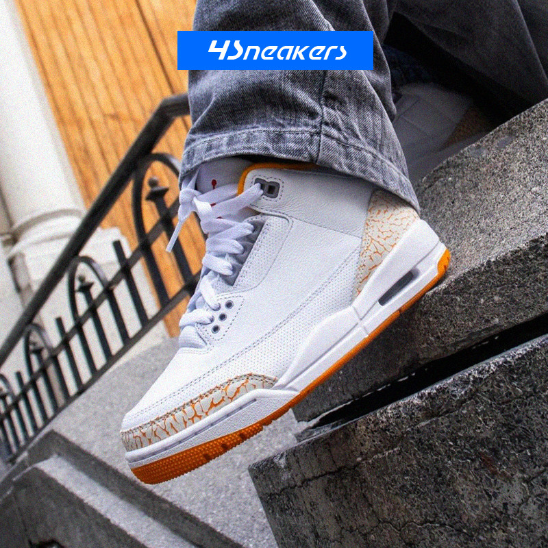 Jordan Air Jordan 3 AJ3李维斯联名复古篮球鞋CK9246-101