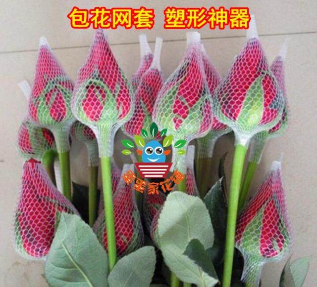 包花网套 玫瑰花套 花蕾防护套其它园艺用品