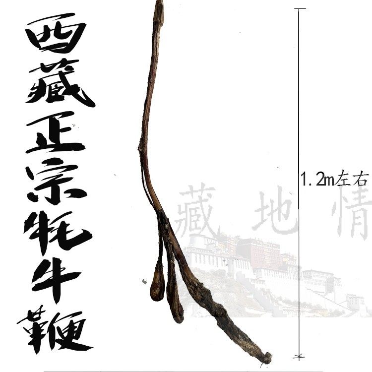 包邮 优质牦牛鞭1.2m左右带睾丸 与鹿鞭药效一样 支持验货正品