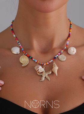 鱼尾太阳响螺扇贝海龟