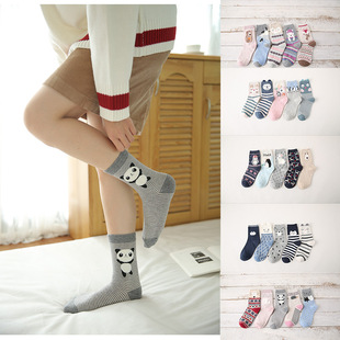 包邮5双装 卡通全棉女袜 萌袜子 纯棉袜子 女士可爱中统袜
